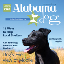 Alabama Dog Magazine